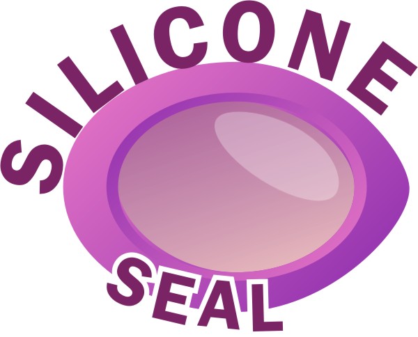 Silicone
                          Seal